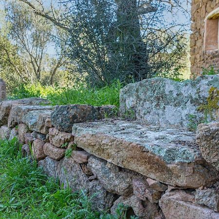 Le Case di Mara - Appartamenti Tipici Stazzo Giovannareddu Porto San Paolo  Esterno foto