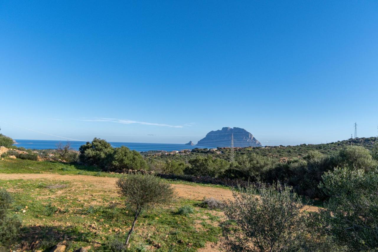 Le Case di Mara - Appartamenti Tipici Stazzo Giovannareddu Porto San Paolo  Esterno foto