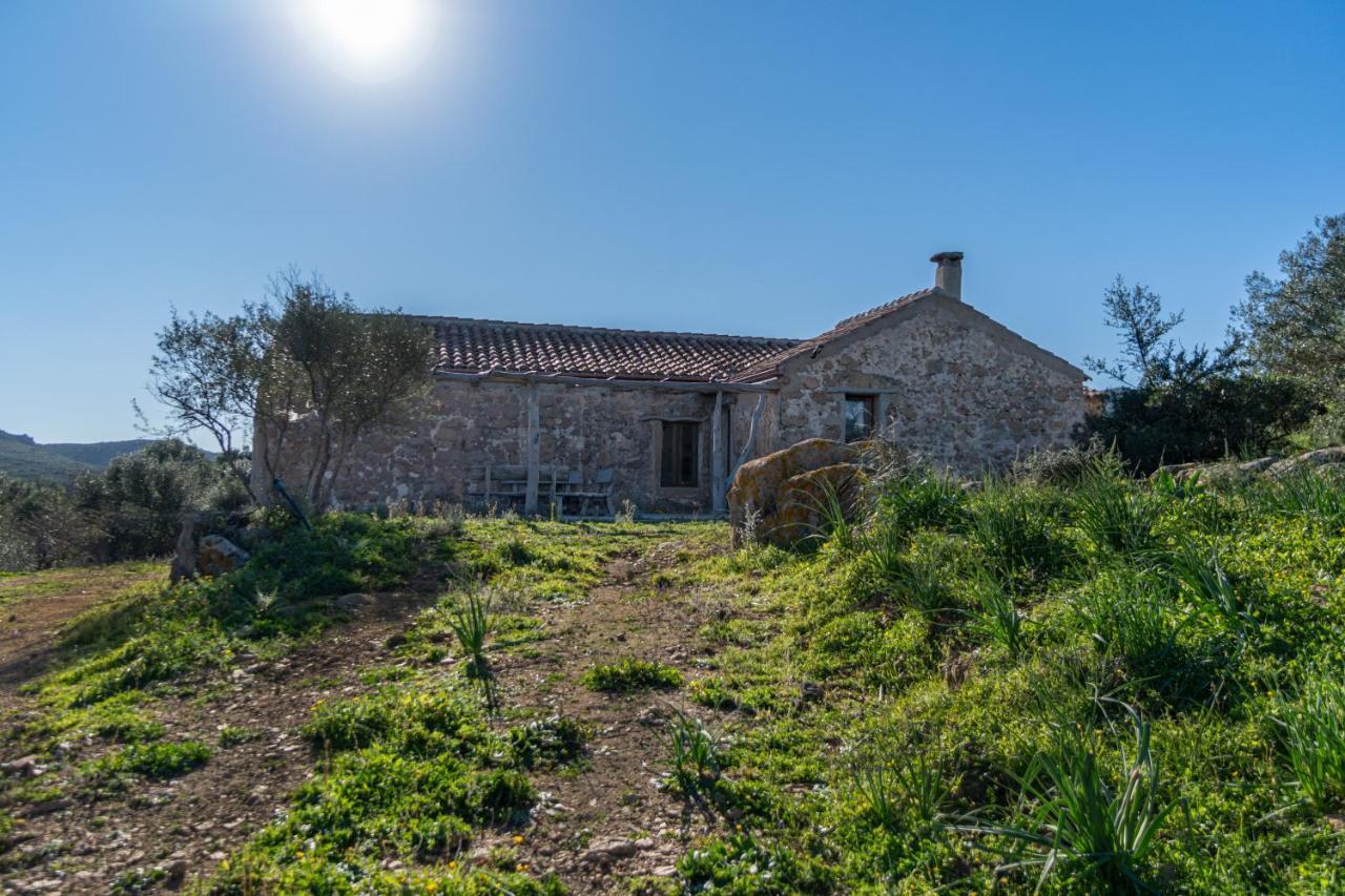 Le Case di Mara - Appartamenti Tipici Stazzo Giovannareddu Porto San Paolo  Esterno foto