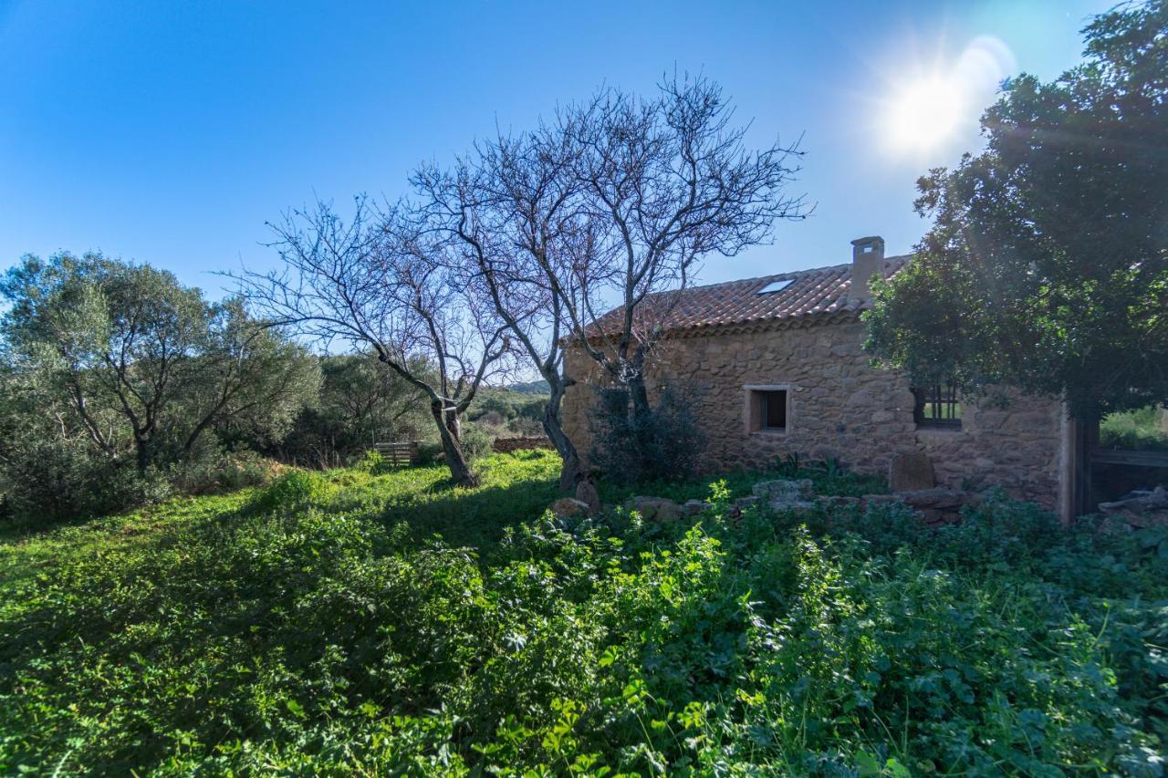 Le Case di Mara - Appartamenti Tipici Stazzo Giovannareddu Porto San Paolo  Esterno foto